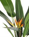 Plante artificielle oiseau de paradis 115 cm avec pot STRELITZIA TREE_774364