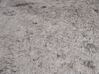 Bézs pamut kisállatfekhely ⌀ 44 cm ORTACA_850167