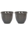 Conjunto de 2 vasos de plantas castanhos ⌀ 49 cm TESALIA_841979