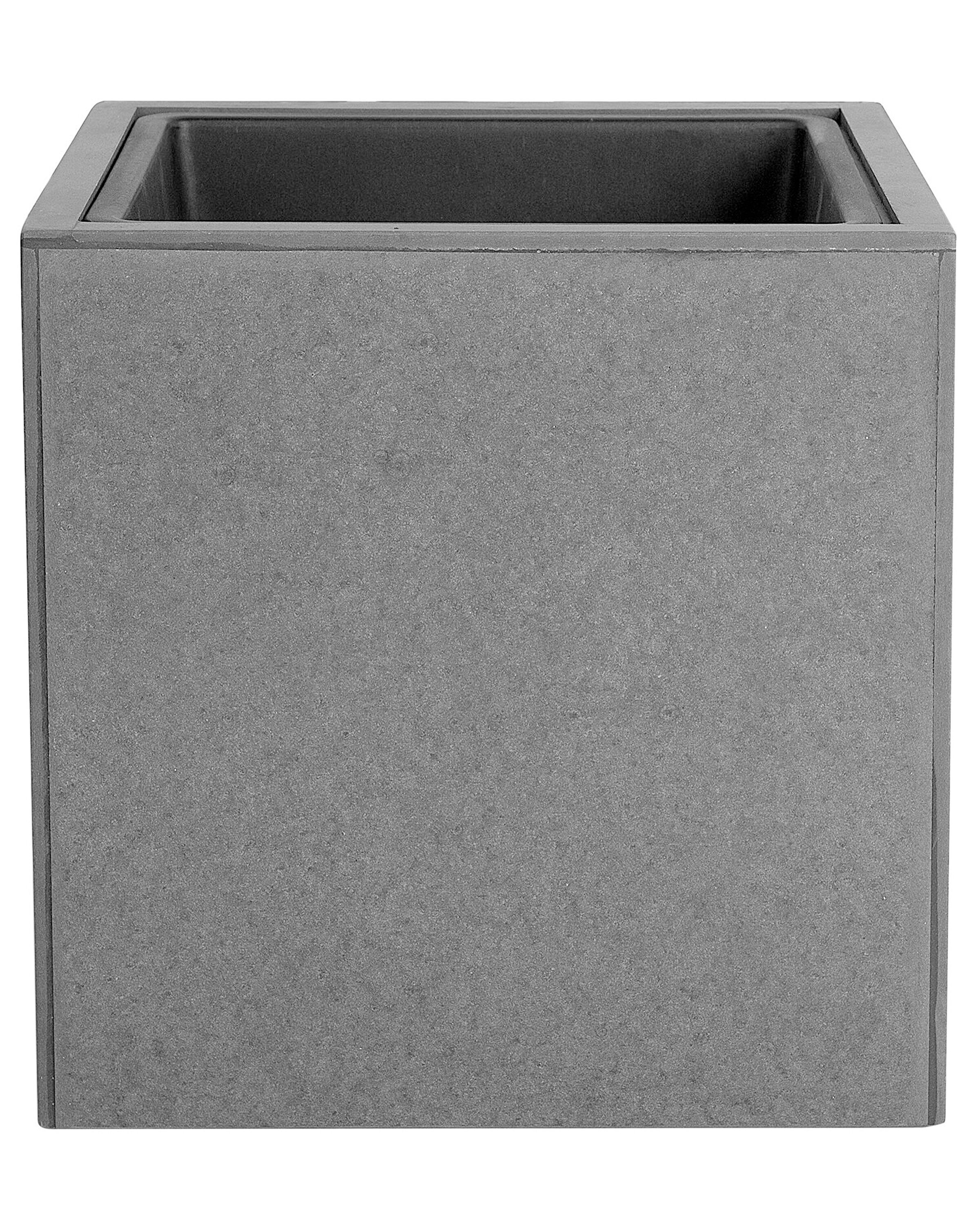 Kwietnik szary DRIMOS