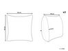 Conjunto de 2 cojines de poliéster beige arena 40 x 40 cm PALAIROS_814159
