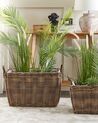 Set of 2 PE Rattan Plant Pot Baskets Brown ORMOS_826539