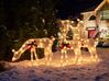 Outdoor Weihnachtsbeleuchtung LED weiß Rentiere 92 cm ANGELI_829701