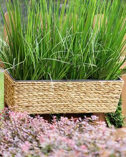 Kukkaruukku parvekkeelle vesihyasintti beige 60 x 20 x 18 cm KAWALA Kukkaruukku parvekkeelle vesihyasintti beige 60 x 20 x 18 cm KAWALA