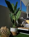 Plante artificielle bananier 154 cm avec pot BANANA TREE _832331