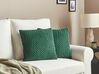 Set of 2 Cushions 45 x 45 cm Green ECLIPTA_902975