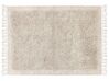 Világosbézs hosszú szálú szőnyeg 140 x 200 cm BITLIS_849080