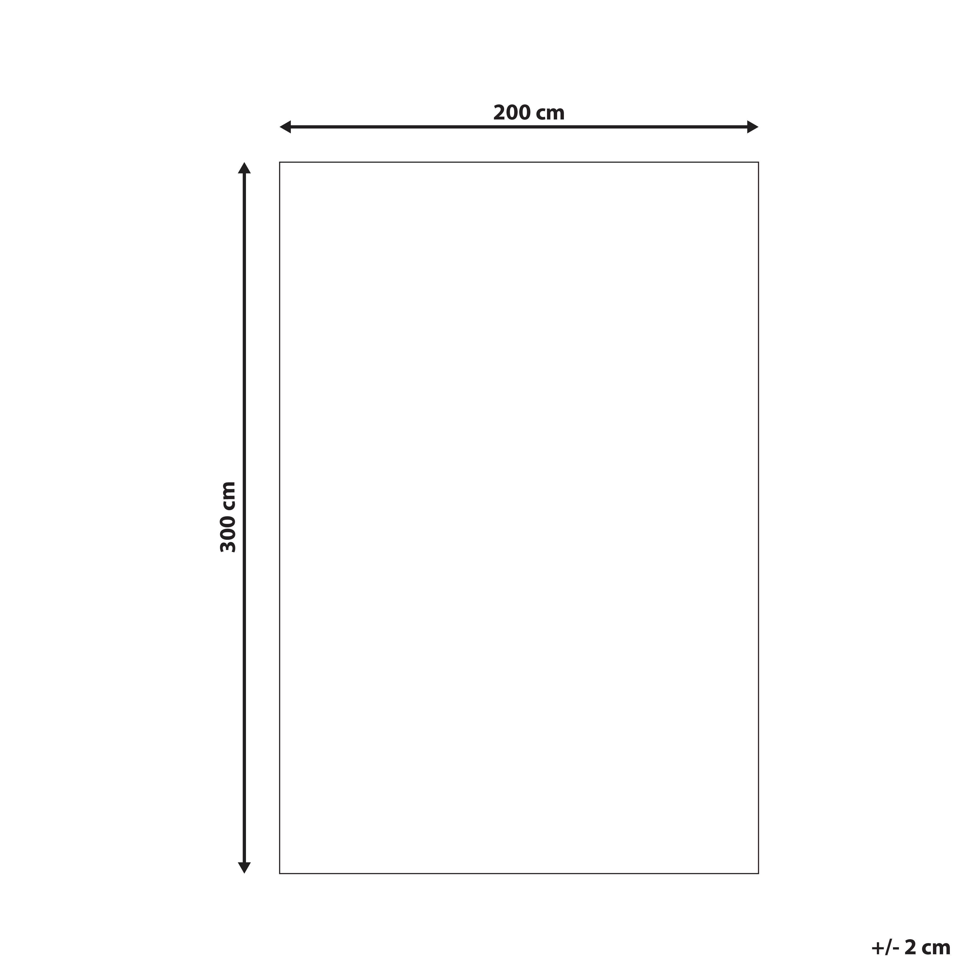 Dywan 200 x 300 cm czarny DEMRE