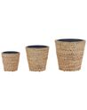 Conjunto de 3 vasos em jacinto de água cor natural e creme PLAKA_826514