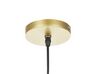 Metal Pendant Lamp Gold FRASER_823445