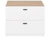 2 Drawer Bedside Table White with Light Wood EDISON_798078