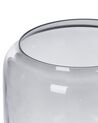 Sada 2 skleněných váz 20/11 cm šedá RASAM_823701