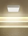 Metal LED Ceiling Lamp White BICOL_824879
