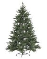 Künstlicher Weihnachtsbaum mit LED Beleuchtung 180 cm grün FIDDLE_832244