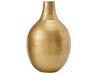 Conjunto de 2 vasos decorativos em metal dourado MOHENJO_823113