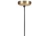 Metal Pendant Lamp Brass TISTA_867873