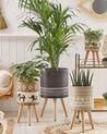 Vaso para plantas com pernas de madeira cinzento escuro 39 x 39 x 68 cm EVRETI_808751