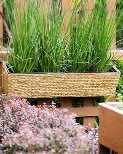 Kukkaruukku parvekkeelle vesihyasintti beige 80 x 20 x 18 cm KAWALA Kukkaruukku parvekkeelle vesihyasintti beige 80 x 20 x 18 cm KAWALA