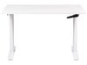 Adjustable Standing Desk 120 x 72 cm White DESTINAS_899055