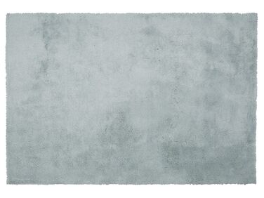 Teppich mintgrün 160 x 230 cm Shaggy EVREN