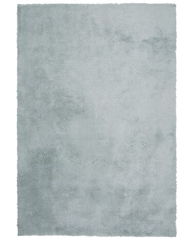 Teppich mintgrün 160 x 230 cm Shaggy EVREN