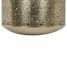 Lanterne décorative en acier doré 22 cm CORFU_765612