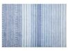 Viskózový koberec 140 x 200 cm modrá/biela YARDERE_751201