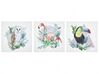 Lot de 3 toiles motif oiseaux 30 x 30 cm multicolore MENAKA_819670