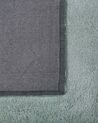 Vloerkleed polyester mintgroen 80 x 150 cm EVREN_758636