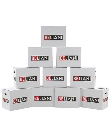 Conjunto de 10 cajas de mudanza de 5 capas 55 x 35 x 45 cm BELIANI
