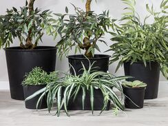 Altakasteluruukku muovi musta ⌀ 34 cm 3 kpl BALZO Altakasteluruukku muovi musta ⌀ 34 cm 3 kpl BALZO