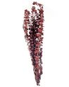 Ramo de flores secas vermelho escuro 56 cm BADAJOZ_835221
