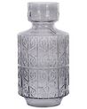Vaso de vidro cinzento 33 cm DIKELLA_838142