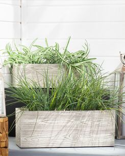 Kukkaruukku savikuituseos valkoinen 42 x 13 x 15 PAOS Kukkaruukku savikuituseos valkoinen 42 x 13 x 15 PAOS