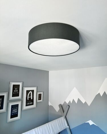 Ceiling Lamp Grey RENA