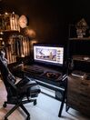 Gaming Desk with RGB LED Lights 120 x 60 cm Black DANVERS_827411