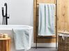Lot de 2 serviettes de bain en coton vert menthe MITIARO_841676