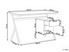 Schreibtisch heller Holzfarbton / weiss 120 x 60 cm Schublade mit Schrank ASHLAND_824526