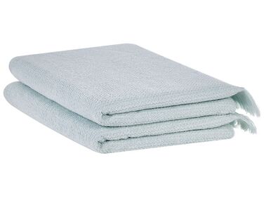 Set of 2 Cotton Terry Towels Mint ATIU