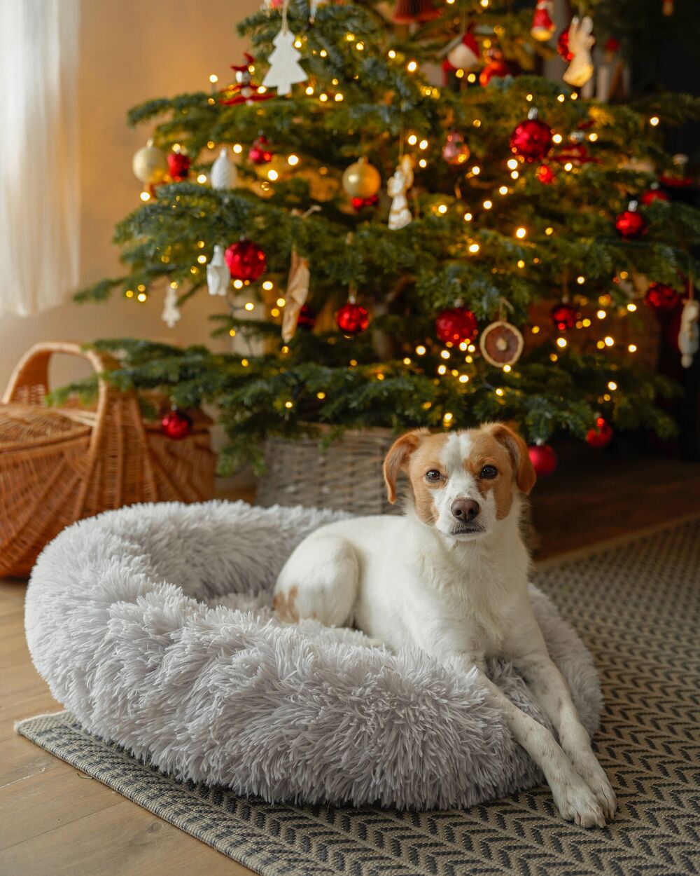 Christmas dog bed deals
