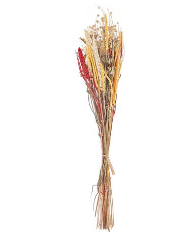 Dried Flower Bouquet 65 cm Red and Yellow PAMPELUNA