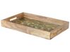 Decorative Tray Leaves Pattern Light Wood and Green TYLIS_824001