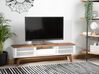 TV-Möbel dunkler Holzfarbton / weiß mit Schublade 149 x 35 x 44 cm DETROIT_732746