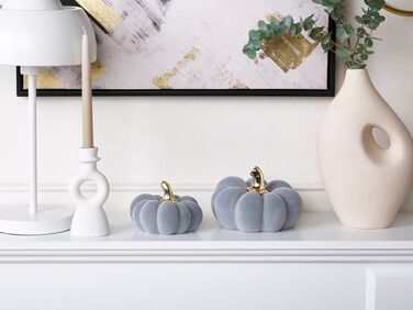 Set of 2 Decorative Figurines Pumpkins Grey KATERINIS