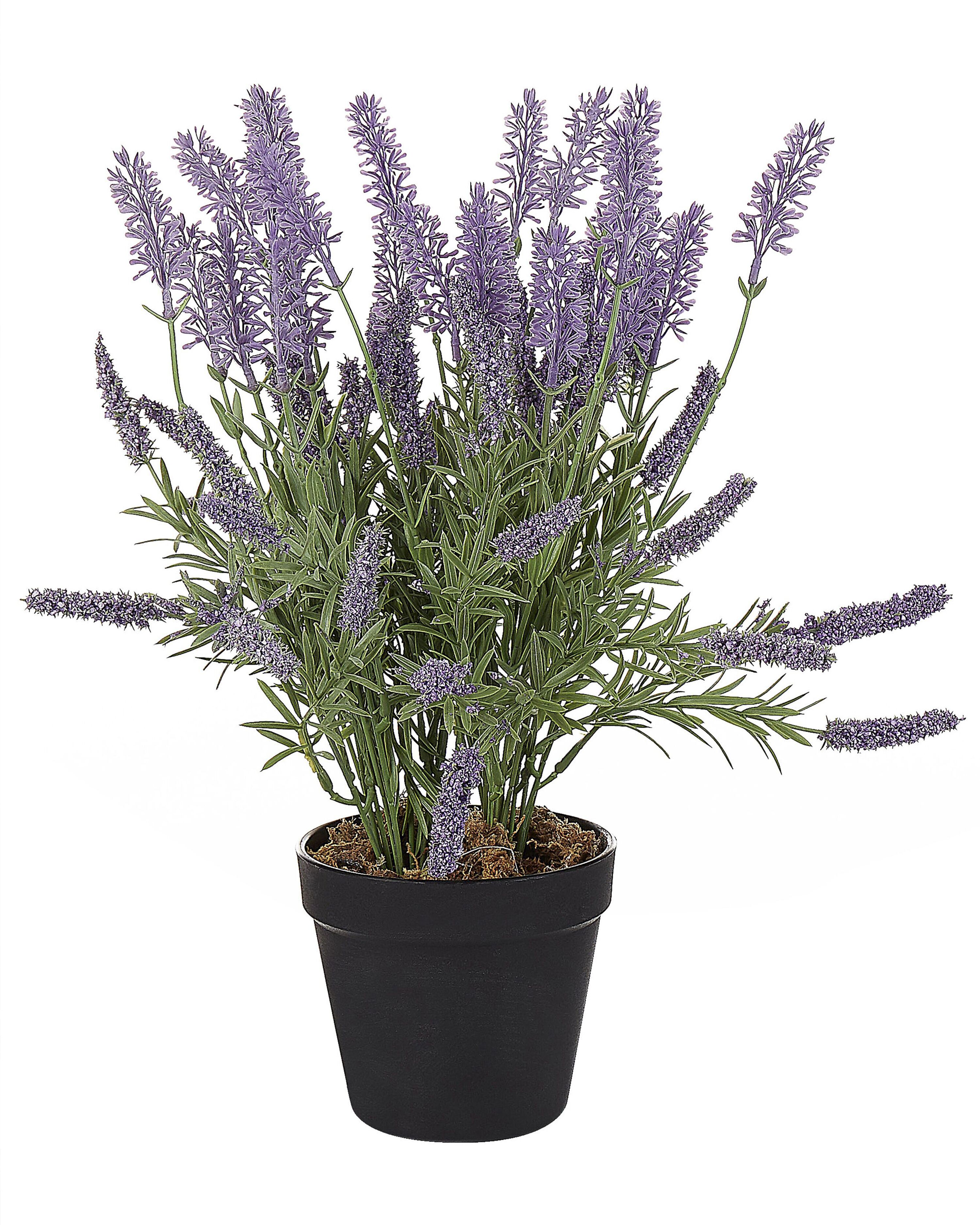 Plantlife Personal Mist, Lavender - 2 oz