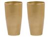 Conjunto de 2 vasos dourados ⌀ 32 cm TSERIA _844430