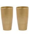 Set di 2 vasi polvere di pietra oro ⌀ 32 cm TSERIA_844430