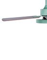 Ceiling Fan with Light Green and Light Wood HOBBLE_862443