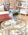 Glass Top Coffee Table with Mirrored Shelf Gold BIRNEY_851742