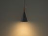 Metal Pendant Lamp Grey TAGUS_704236